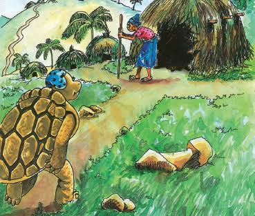 The tortoise 
