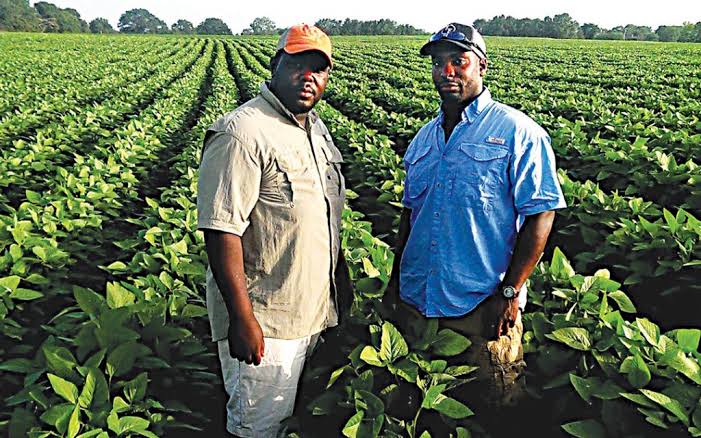Black farmers 