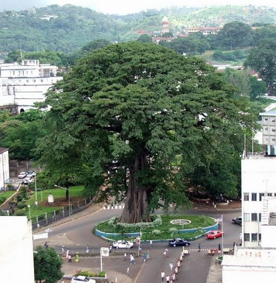 Happy Independence Day Sierra Leone: Facts About Sierra Leone You Should Know