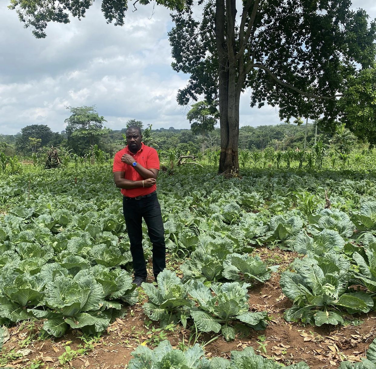 John Dumelo is one actor who has picked interest in the agricultural sector and doing quite well in the business. The actor had revealed during an interview with a local newspaper