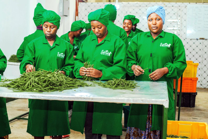 How 30 year old Tanzanian entrepreneur Hadija Jabiri, built a business that exports vegetables to Europe