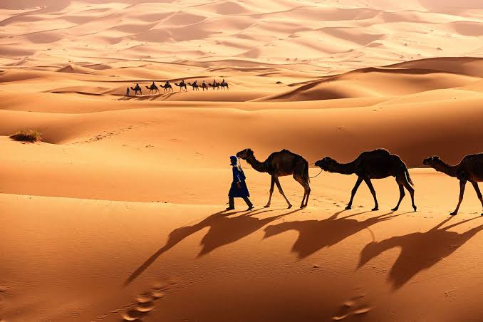 SAHARA : From Lush green to a Desert
