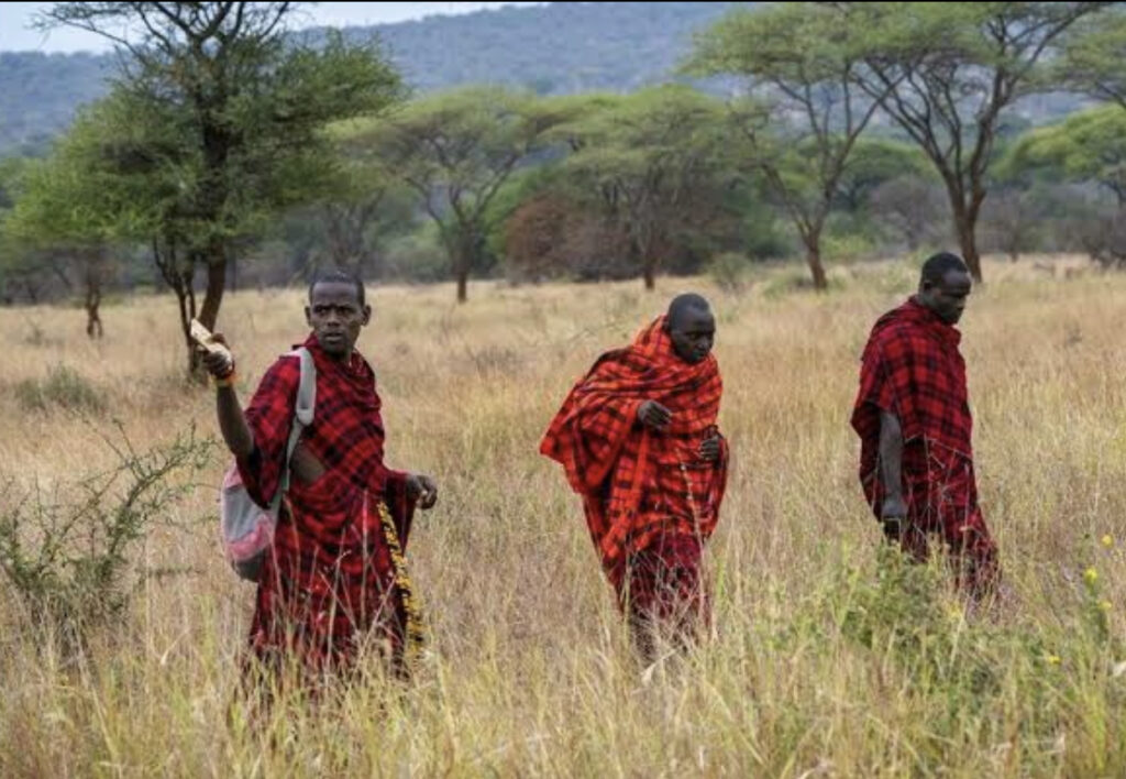Tanzania frees 24 Maasai accused of killing policeman 