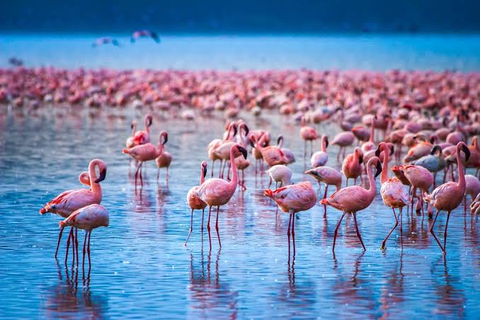 8 Best places to visit in Kenya